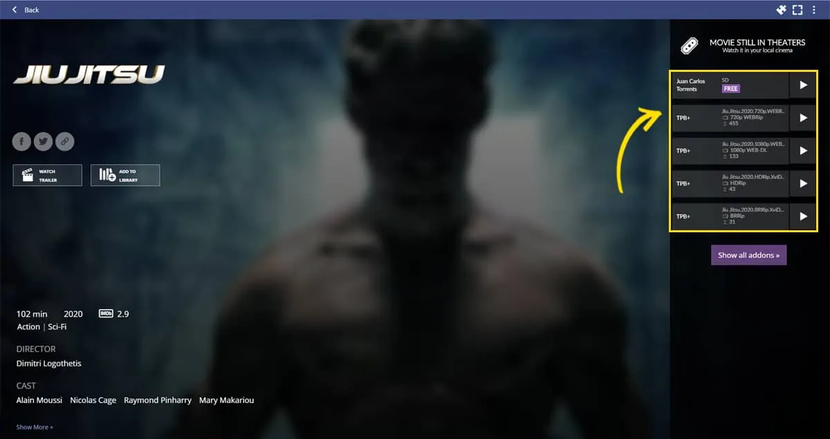 La liste des sources de streaming proposées par les extensions installées dans Stremio