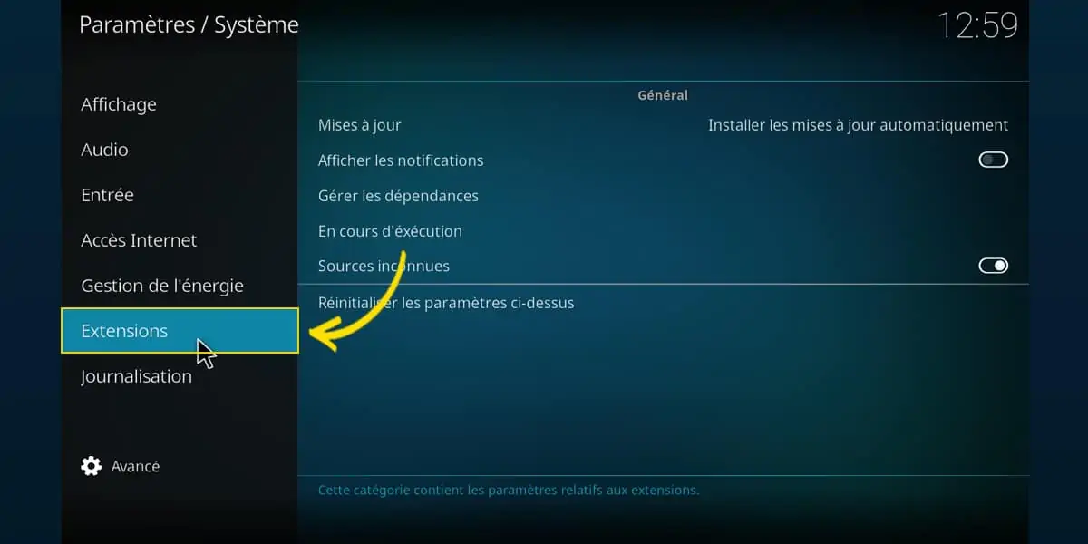 La section réservée aux enxtensions, dans les paramètres Kodi