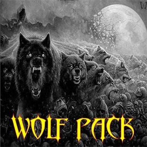 Wolf pack is an all-in-one Kodi addon that includes Movies, TV Shows, Sports, and Live Channels