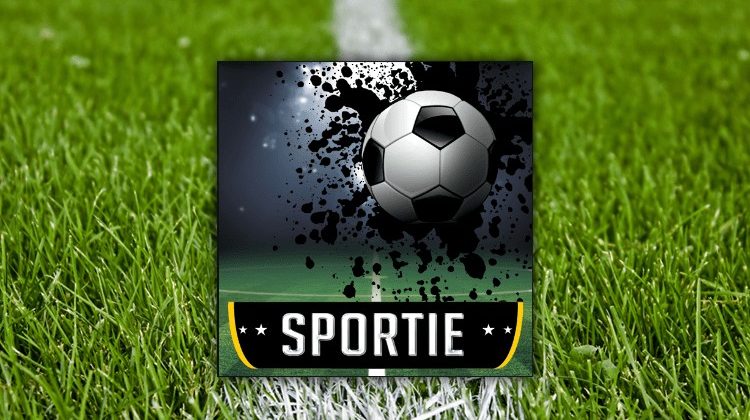 Install Sportie Kodi Addon