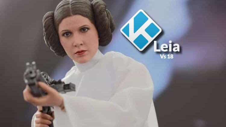 How to Install Kodi 18 Leia on Firestick or Fire TV