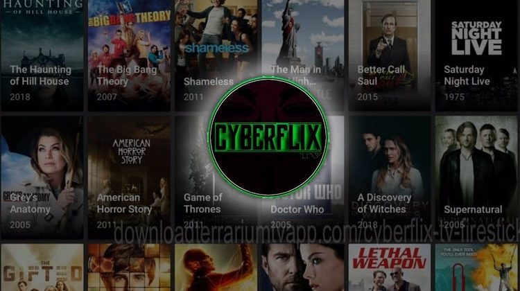 How to Install Cyberflix TV on Firestick and Android TV Boxes