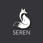 Seren is an excellent Kodi Addon