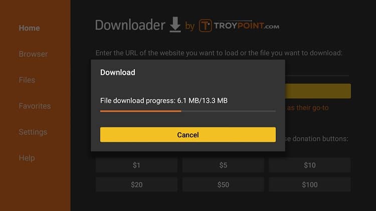 The apk file will download to your Firestick or Fire TV