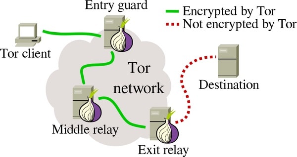 Tor is a browser that allows you access the dark web with the minimum layer of safely 