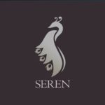 Seren is an excellent Kodi Addon