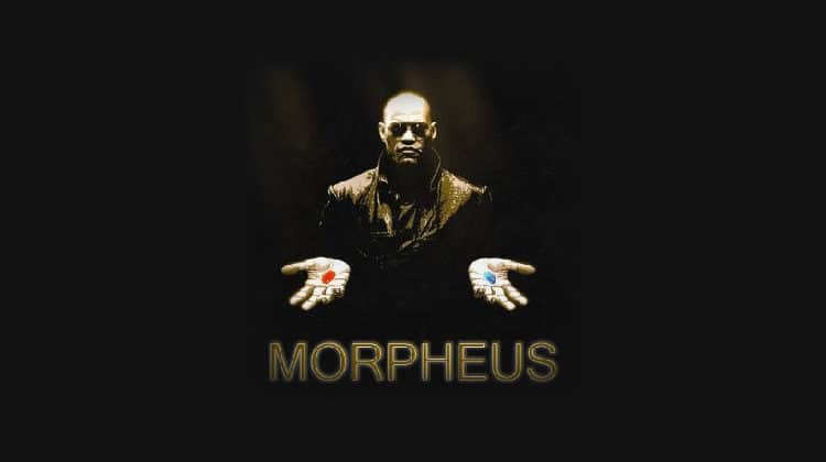 Morpheus Kodi Addon: install guide