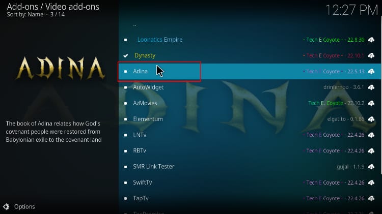 Adina video addon option