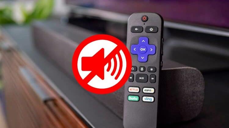 How to Fix Roku No Sound Issue Guide