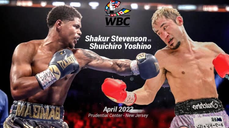 How to watch Shakur Stevenson vs. Shuichiro Yoshino boxing bout for FREE