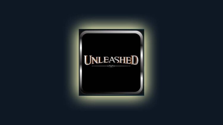 Guide about how to install Unleashed Kodi Addon
